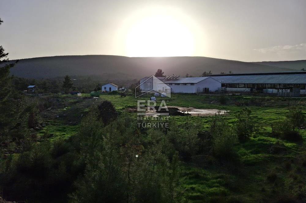 DURSUNBEY'DE SATILIK ÇİFTLİK ERA SÖZ GAYRİMENKUL