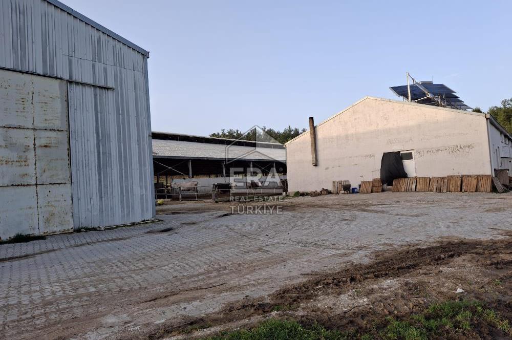 DURSUNBEY'DE SATILIK ÇİFTLİK ERA SÖZ GAYRİMENKUL