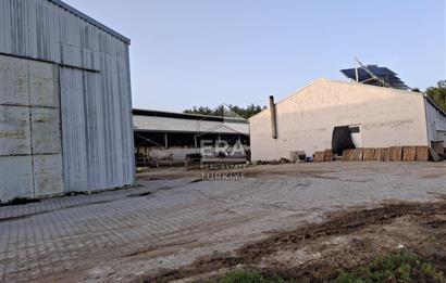 DURSUNBEY'DE SATILIK ÇİFTLİK ERA SÖZ GAYRİMENKUL