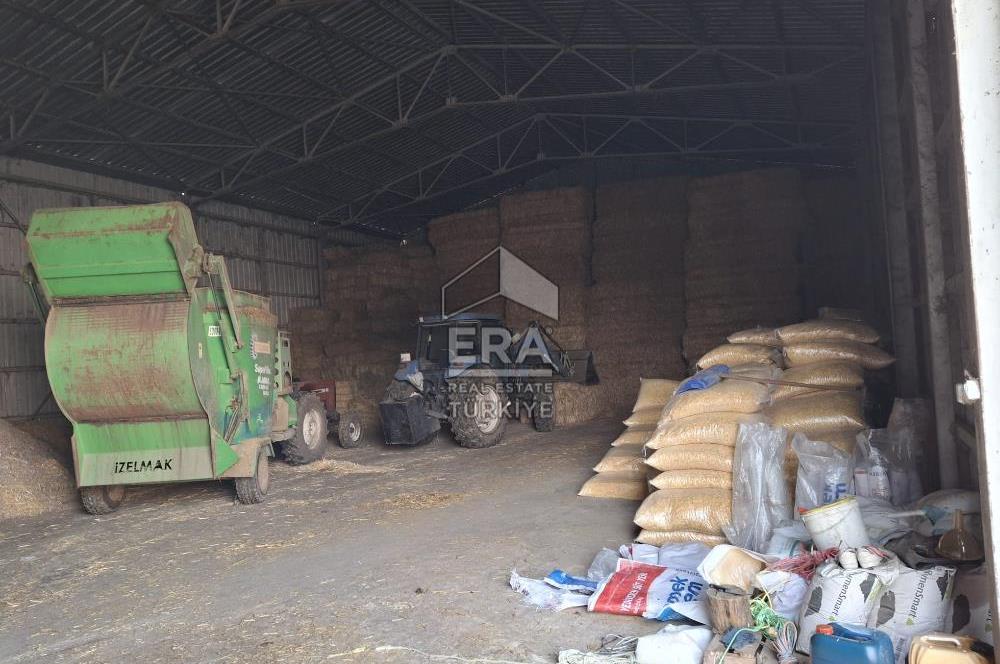 DURSUNBEY'DE SATILIK ÇİFTLİK ERA SÖZ GAYRİMENKUL