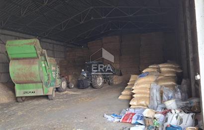 DURSUNBEY'DE SATILIK ÇİFTLİK ERA SÖZ GAYRİMENKUL