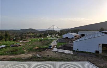 DURSUNBEY'DE SATILIK ÇİFTLİK ERA SÖZ GAYRİMENKUL