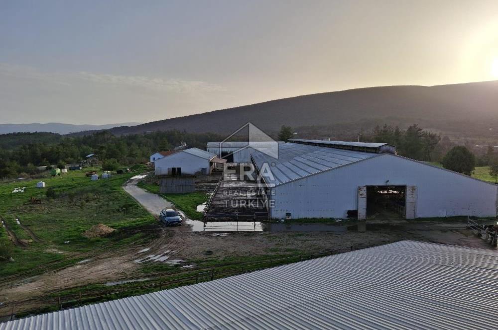 DURSUNBEY'DE SATILIK ÇİFTLİK ERA SÖZ GAYRİMENKUL
