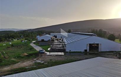 DURSUNBEY'DE SATILIK ÇİFTLİK ERA SÖZ GAYRİMENKUL