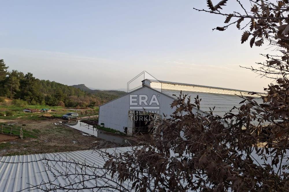 DURSUNBEY'DE SATILIK ÇİFTLİK ERA SÖZ GAYRİMENKUL