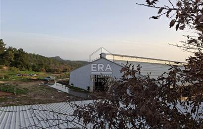 DURSUNBEY'DE SATILIK ÇİFTLİK ERA SÖZ GAYRİMENKUL