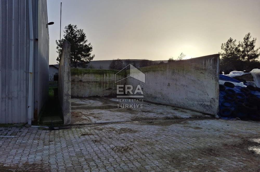 DURSUNBEY'DE SATILIK ÇİFTLİK ERA SÖZ GAYRİMENKUL