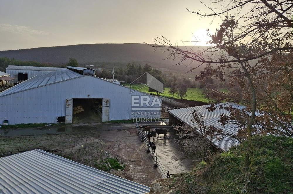 DURSUNBEY'DE SATILIK ÇİFTLİK ERA SÖZ GAYRİMENKUL