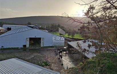 DURSUNBEY'DE SATILIK ÇİFTLİK ERA SÖZ GAYRİMENKUL