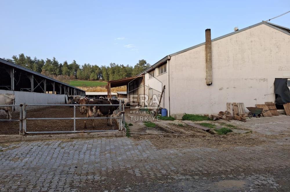 DURSUNBEY'DE SATILIK ÇİFTLİK ERA SÖZ GAYRİMENKUL