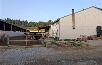 DURSUNBEY'DE SATILIK ÇİFTLİK ERA SÖZ GAYRİMENKUL