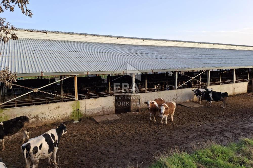 DURSUNBEY'DE SATILIK ÇİFTLİK ERA SÖZ GAYRİMENKUL