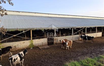 DURSUNBEY'DE SATILIK ÇİFTLİK ERA SÖZ GAYRİMENKUL