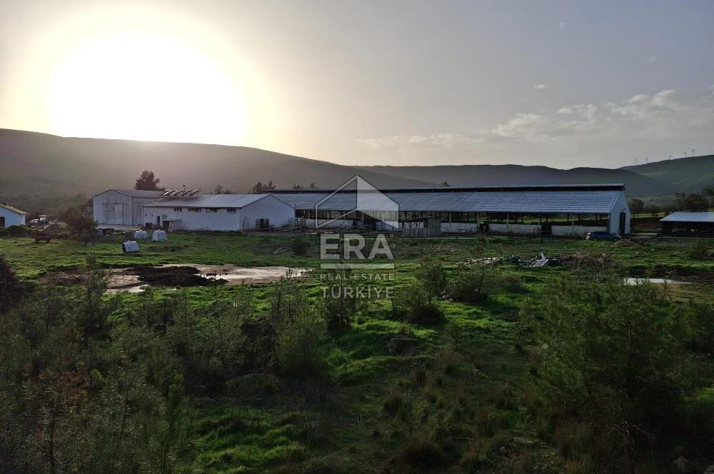 DURSUNBEY'DE SATILIK ÇİFTLİK ERA SÖZ GAYRİMENKUL