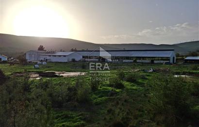 DURSUNBEY'DE SATILIK ÇİFTLİK ERA SÖZ GAYRİMENKUL