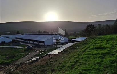 DURSUNBEY'DE SATILIK ÇİFTLİK ERA SÖZ GAYRİMENKUL