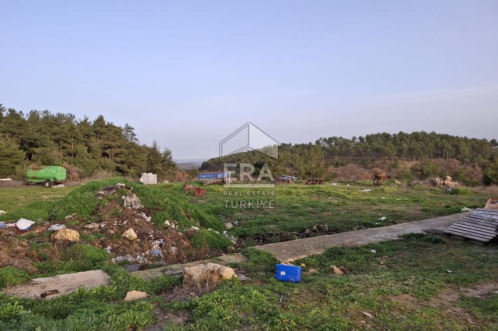 DURSUNBEY'DE SATILIK ÇİFTLİK ERA SÖZ GAYRİMENKUL