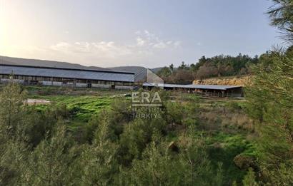 DURSUNBEY'DE SATILIK ÇİFTLİK ERA SÖZ GAYRİMENKUL