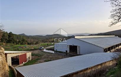 DURSUNBEY'DE SATILIK ÇİFTLİK ERA SÖZ GAYRİMENKUL