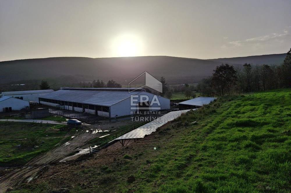 DURSUNBEY'DE SATILIK ÇİFTLİK ERA SÖZ GAYRİMENKUL
