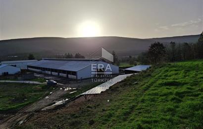 DURSUNBEY'DE SATILIK ÇİFTLİK ERA SÖZ GAYRİMENKUL