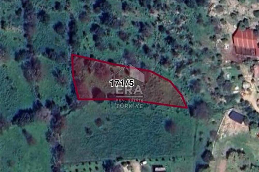 BODRUM BİTEZ’DE DENİZ MANZARALI SATILIK TARLA