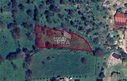 BODRUM BİTEZ’DE DENİZ MANZARALI SATILIK TARLA