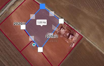 Satılık tarla 11 dönüm