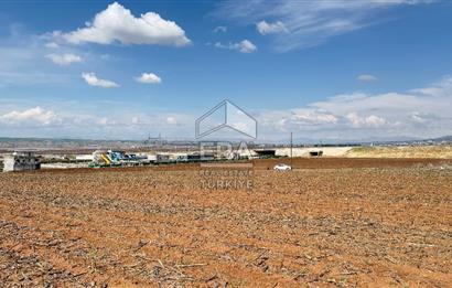 Satılık tarla 11 dönüm