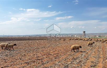 Satılık tarla 11 dönüm