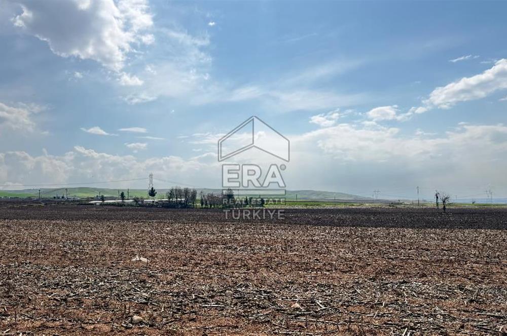Satılık tarla 11 dönüm