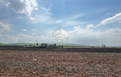 Satılık tarla 11 dönüm