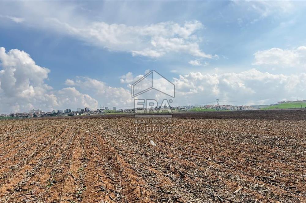 Satılık tarla 11 dönüm