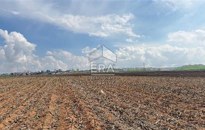 Satılık tarla 11 dönüm