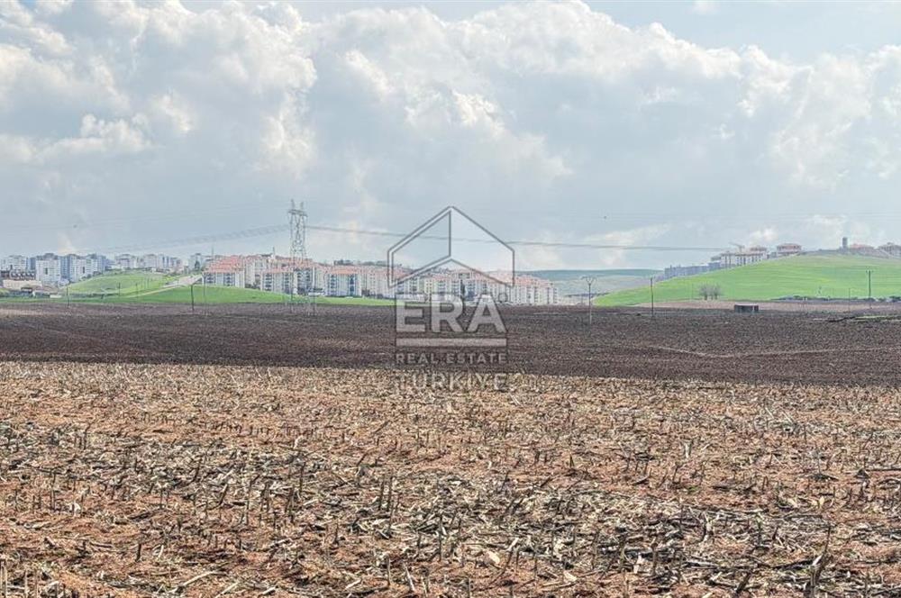 Satılık tarla 11 dönüm