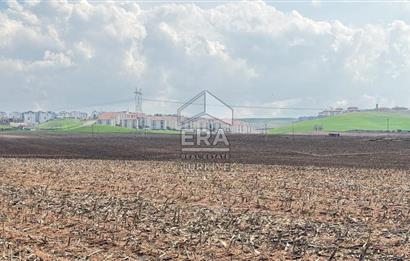 Satılık tarla 11 dönüm