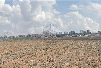 Satılık tarla 11 dönüm - 1 - 14803