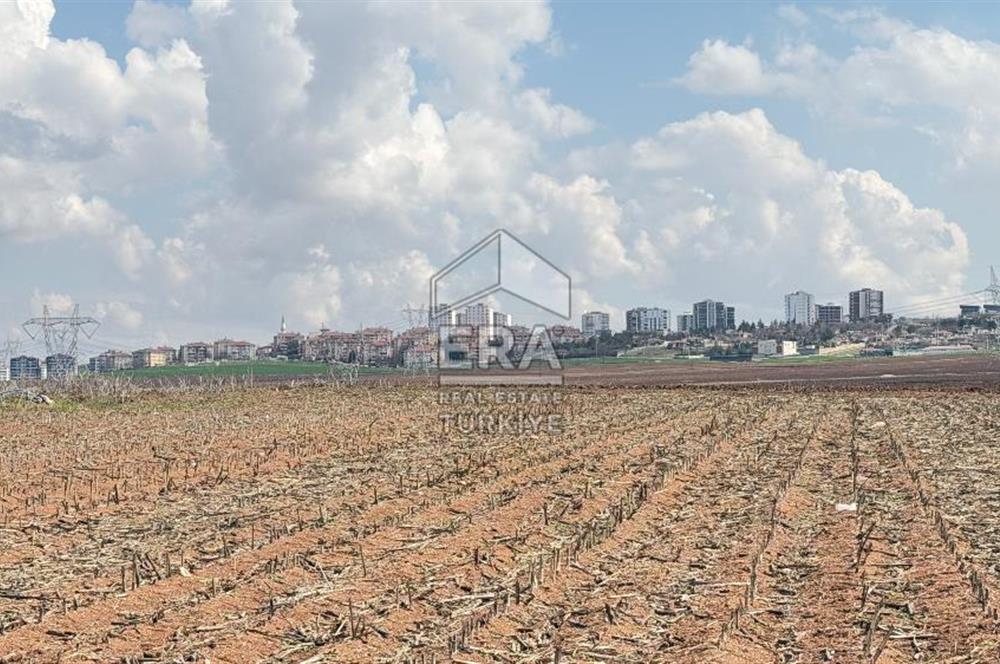 Satılık tarla 11 dönüm