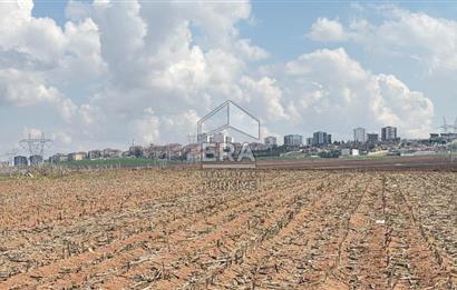 Satılık tarla 11 dönüm