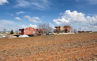 Satılık tarla 11 dönüm