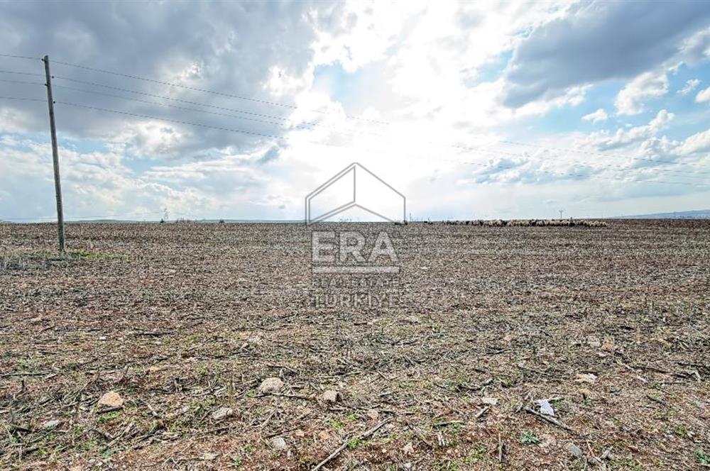 Satılık tarla 11 dönüm