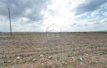 Satılık tarla 11 dönüm