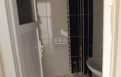 Kültürde satılık 3+1