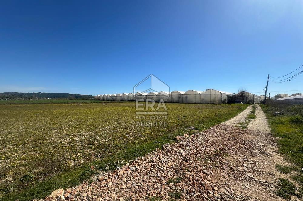 Antalya Manavgat Yalçıdibi Satılık Tarla