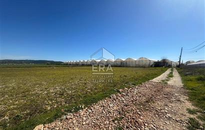 Antalya Manavgat Yalçıdibi Satılık Tarla