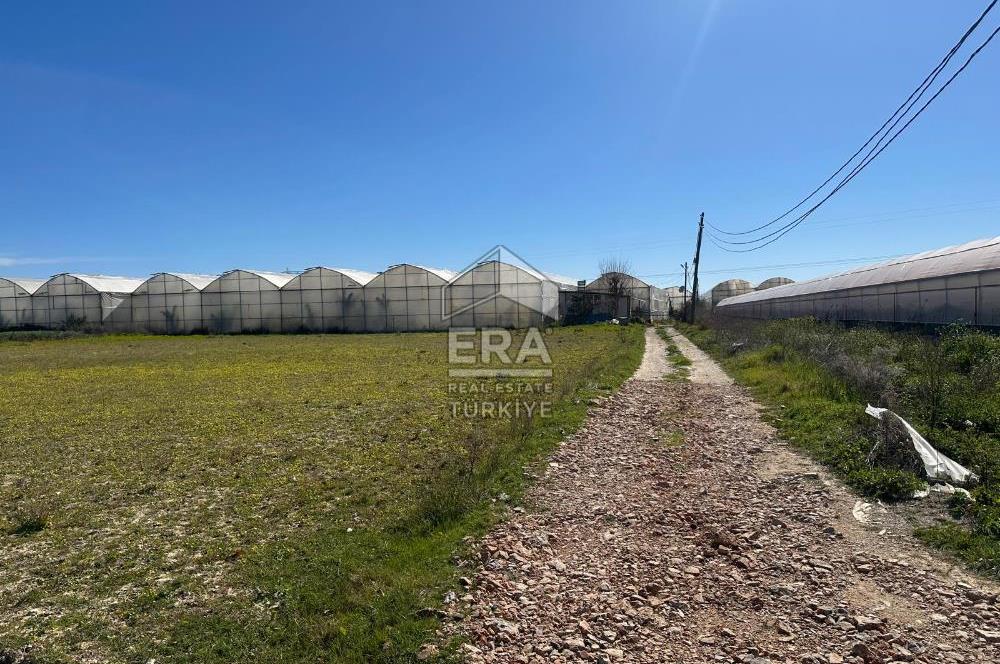 Antalya Manavgat Yalçıdibi Satılık Tarla