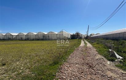 Antalya Manavgat Yalçıdibi Satılık Tarla