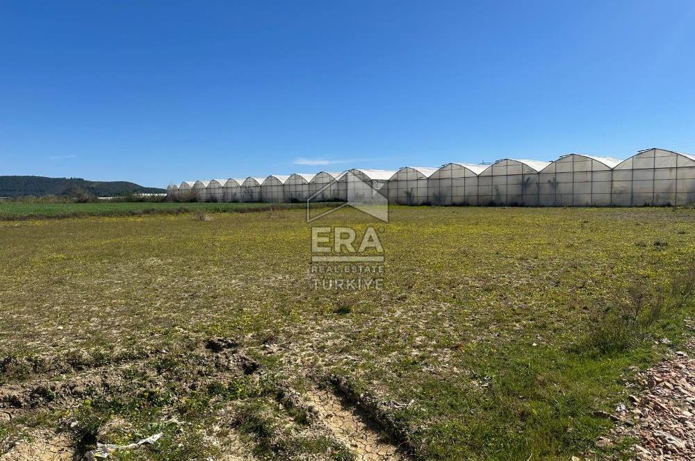 Antalya Manavgat Yalçıdibi Satılık Tarla