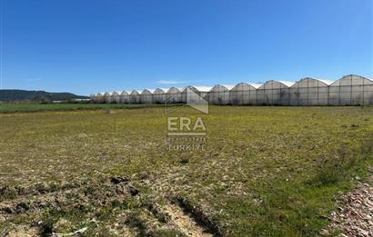 Antalya Manavgat Yalçıdibi Satılık Tarla