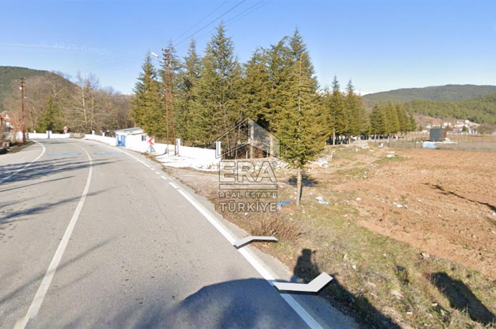 ANTALYA AKSEKİ CEVİZLİ SATILIK TEK TAPU ARAZİ VE TINY HOUSE